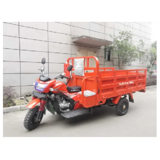 Gasoline Driving Type Three Wheel Motorcycle Cargo Truck Tricycle China